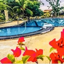 Riverside Hotel Outdoor Swimming Pool with Bougainvillea